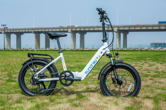 META20 1.0 - Electric Bicycle - META20-ST-WT eBike Super Shop