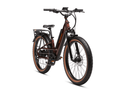 Radster™ Trail Electric Off - Road Bike - Electric Bike - 109 - 00005 eBike Super Shop