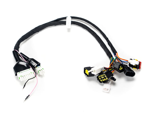 Stomp Ebox EBX wiring harness showing multiple colored wires with connectors attached, designed for motorcycle electrical systems.